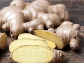 CitrusBurn Ingredient 4