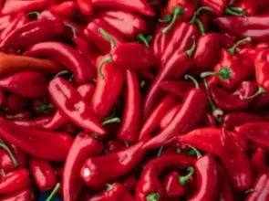 CitrusBurn Ingredient 3